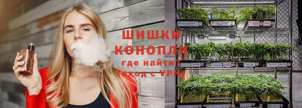 ECSTASY Ладушкин