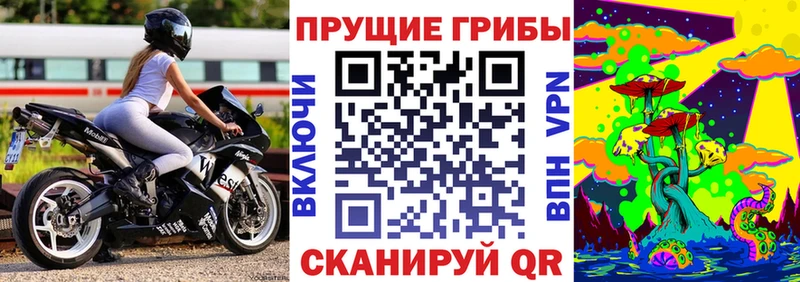 купить наркотики сайты  Макаров  Галлюциногенные грибы Psilocybine cubensis 